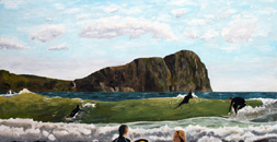 Tor Bay Surfers